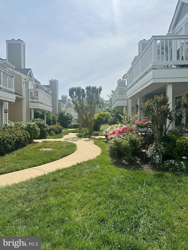 4550 28th Rd S unit 1616, Arlington, VA 22206 - photo 4