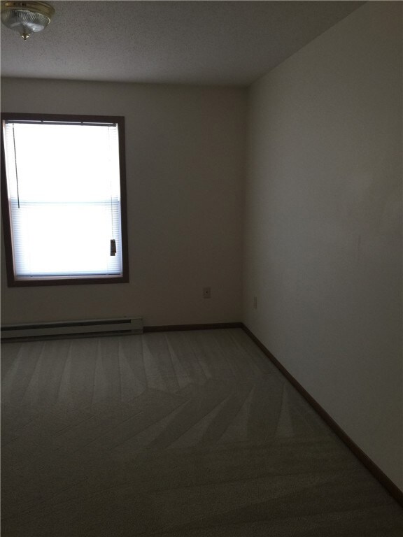 2015 Carrie Ave unit 1, Rice Lake, WI 54868 - photo 6