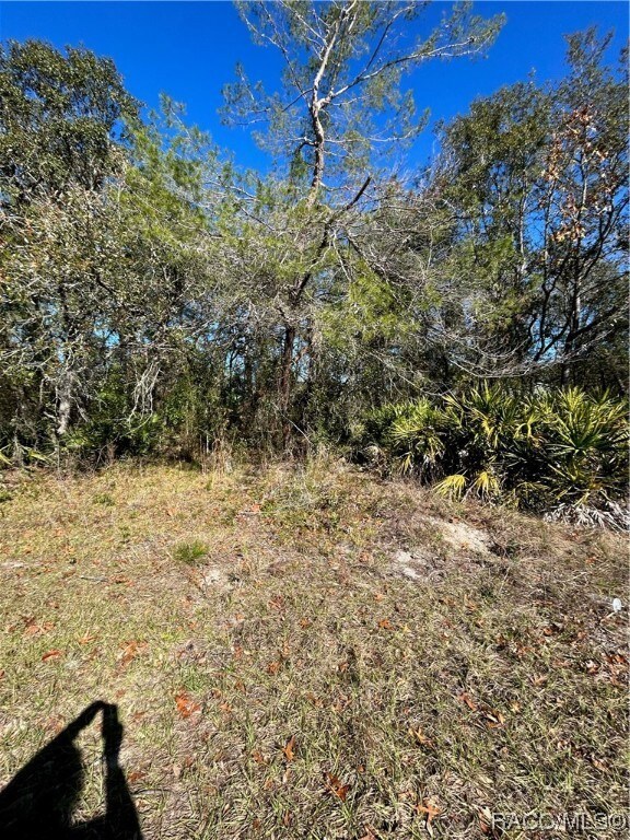 6883 W Merrivale Ln, Homosassa, FL 34446 - photo 4