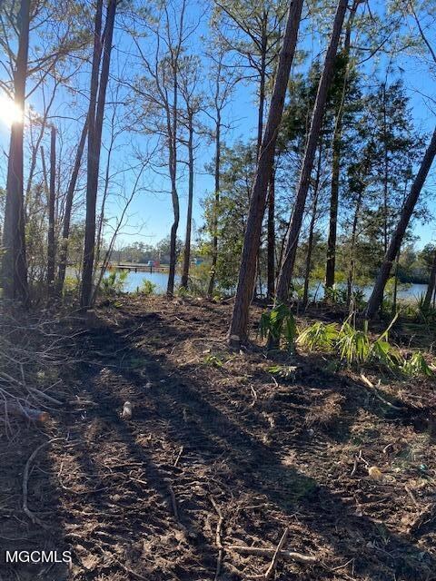 Cedar Lake 2