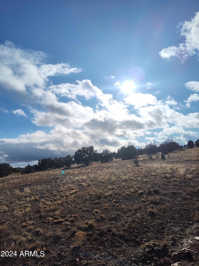 000000 Bullock Rd unit 53, Ash Fork, AZ 86320 - photo 6