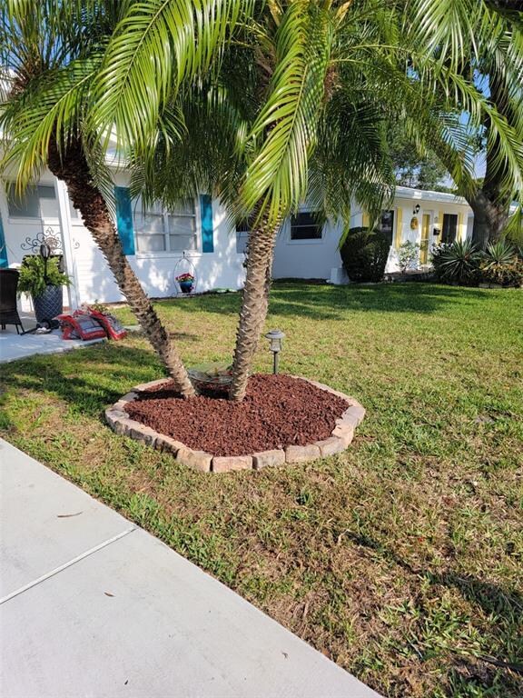Front Yard