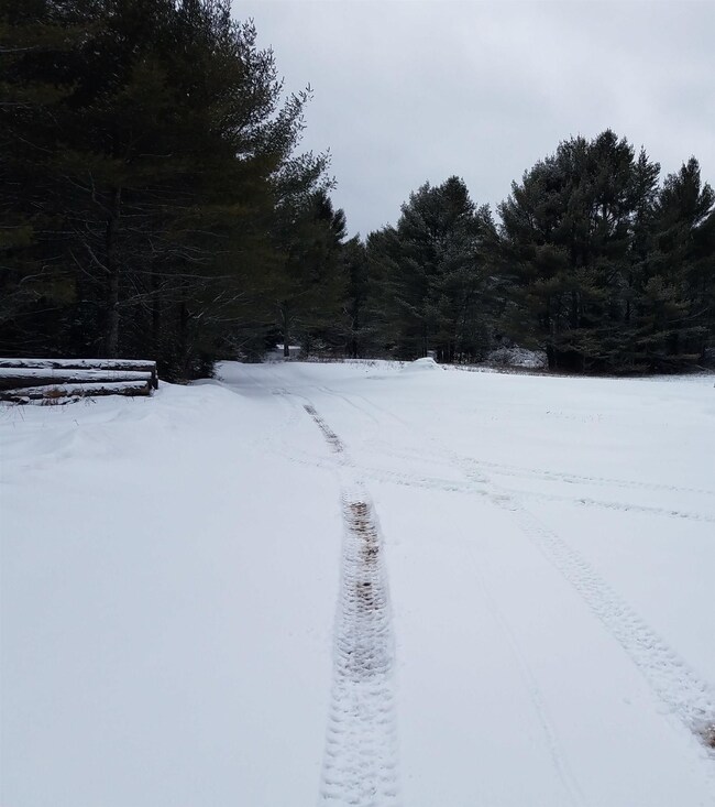 0 Thornapple Ln unit 22201024, Tomahawk, WI 54487 - photo 3