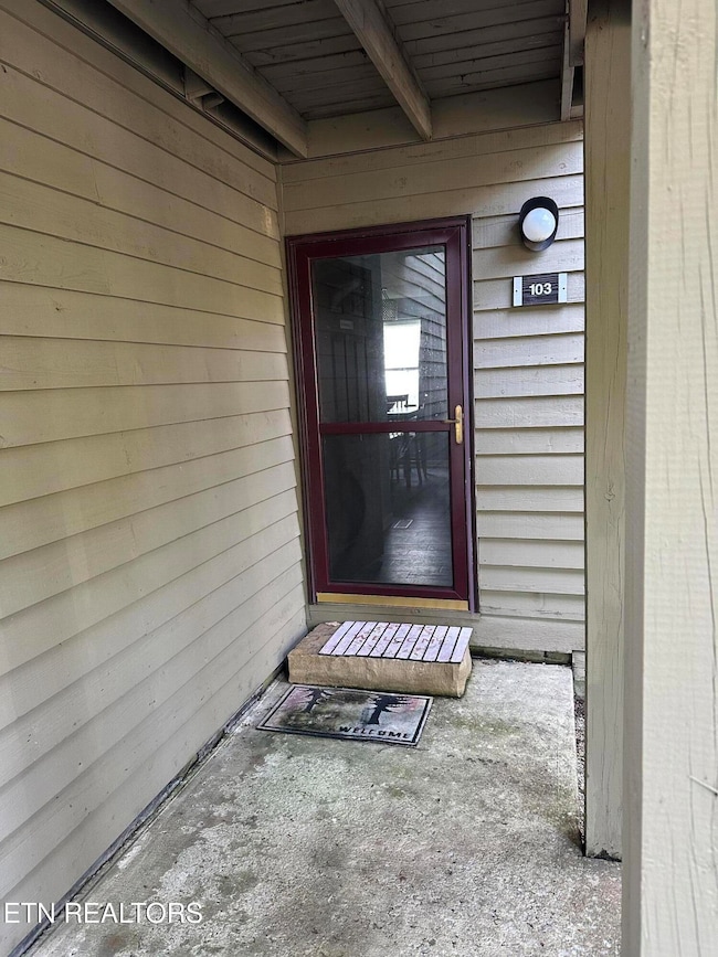 365 Moytoy Rd unit 103, Crab Orchard, TN 37723 - photo 6