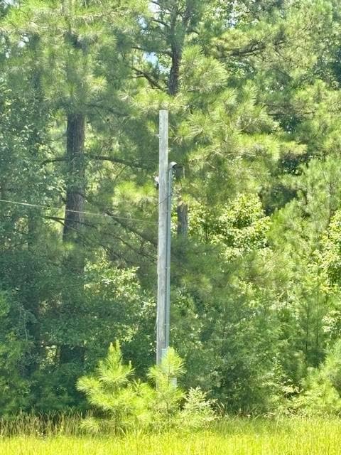 26489 Point A Isle Rd, Andalusia, AL 36421 - photo 5