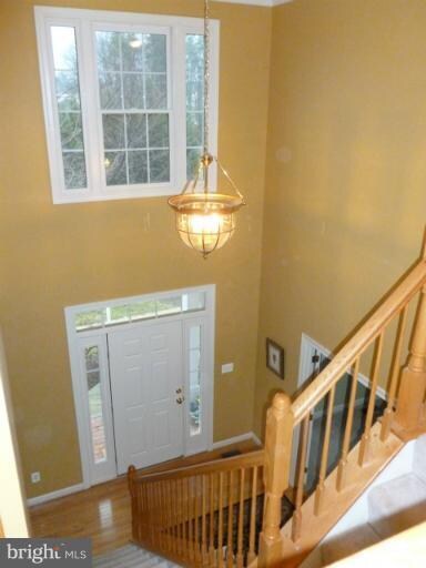 43356 St Andrews St, Chantilly, VA 20152 - photo 4