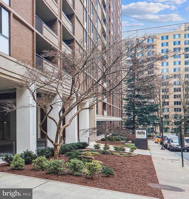 4620 N Park Ave, Chevy Chase, MD 20815 - photo 2