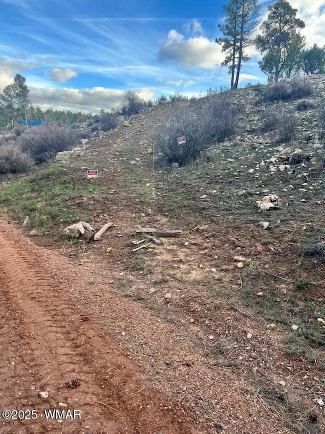 2820 Pine Hill Dr, Overgaard, AZ 85933 - photo 3