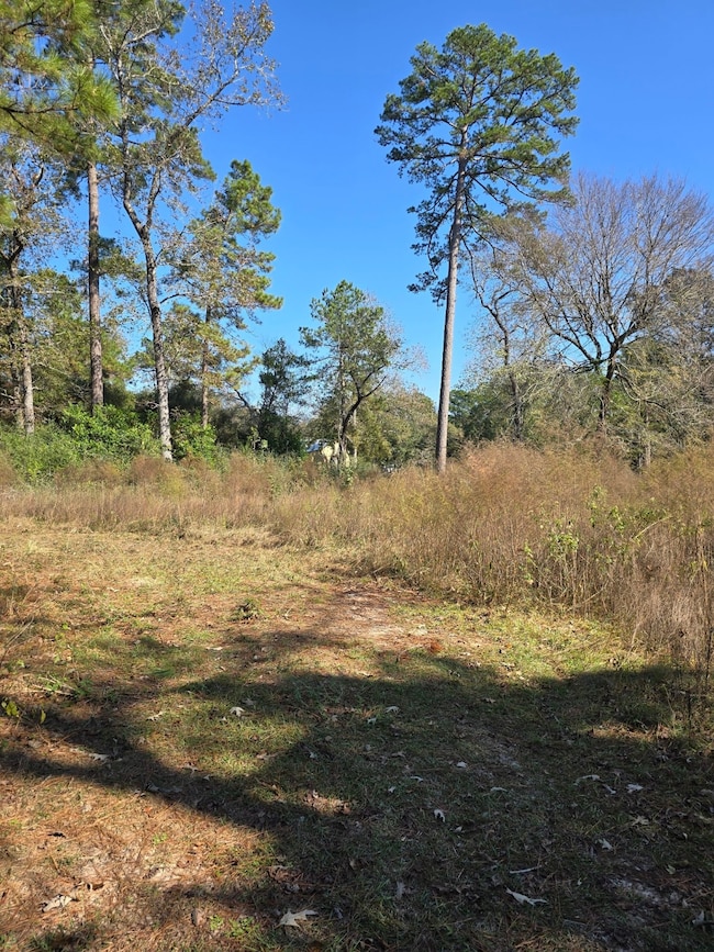 10287 Wanda Ln, Montgomery, TX 77316 - photo 6