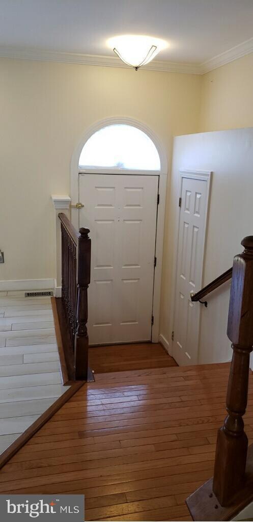 5101 Beauregard St, Alexandria, VA 22312 - photo 3