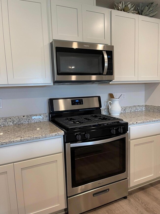 Gas Stove