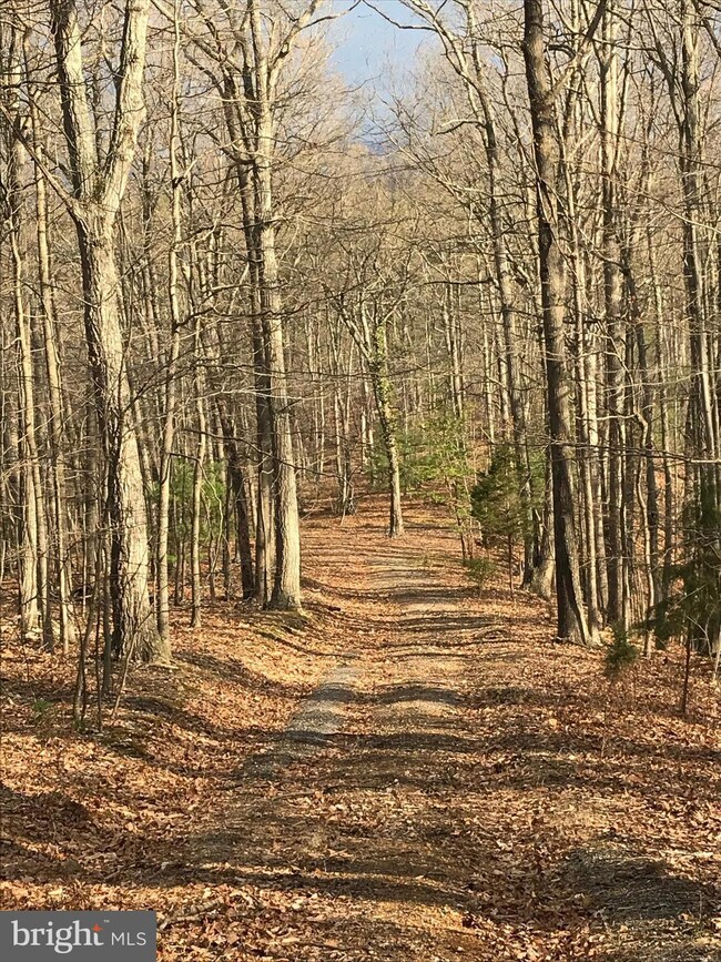 0 Timberlane Ridge unit 1000411928, Star Tannery, VA 22654 - photo 3