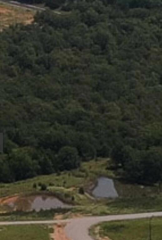 Aerial overview of property's location with a heavily wooded area