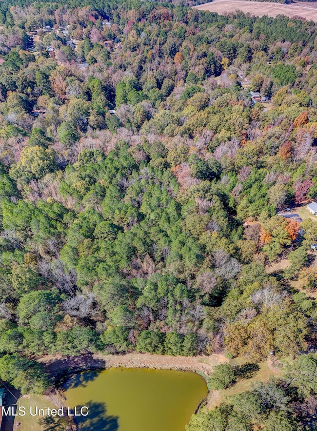 0 Brenmar St, Brandon, MS 39042 - photo 2