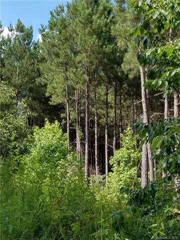 00 Brown Rd, Chester, SC 29706 - photo 2