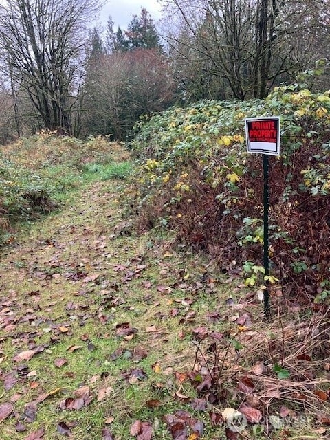 Other end of future driveway