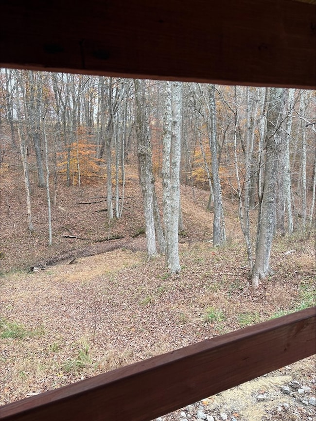 3110 Borland Rd, Jackson Township, OH 45672 - photo 7