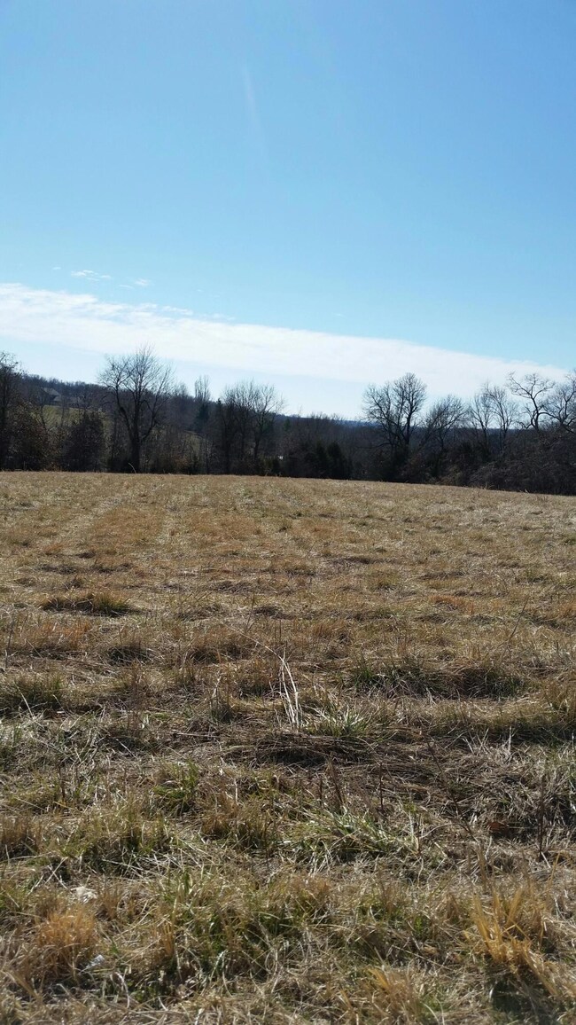 925 S Nicholas Rd, Nixa, MO 65714 - photo 7