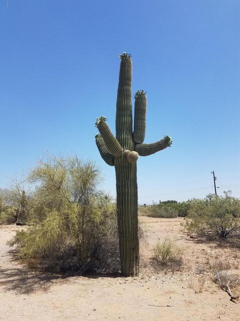 4481 N Desert View Dr, Apache Junction, AZ 85120 - photo 5