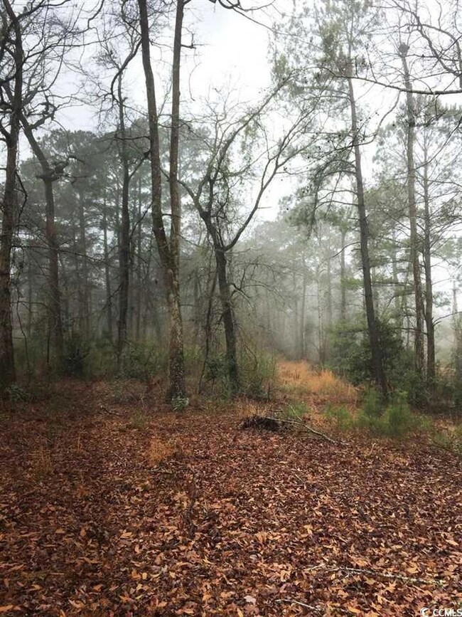 1028 Merritt Rd unit 1016 Merritt Road, Conway, SC 29526 - photo 6