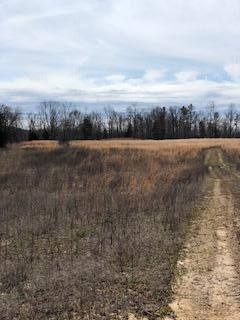 6495 1675 Hwy, Somerset, KY 42501 - photo 6