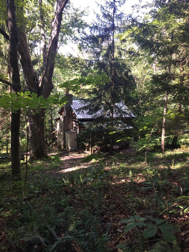 11483 Edgington Rd, Danville, OH 43014 - photo 3