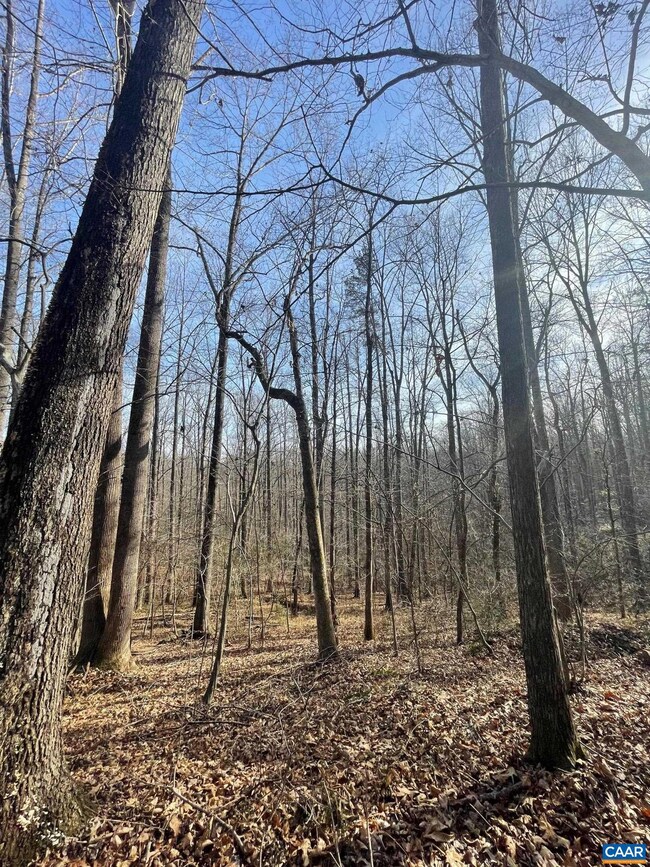 TBD Sage Ct, Fray 'S Grant, VA 22936 - photo 7