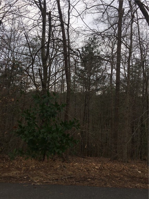 Lot 56 Fox Run Rd, Walhalla, SC 29691 - photo 2