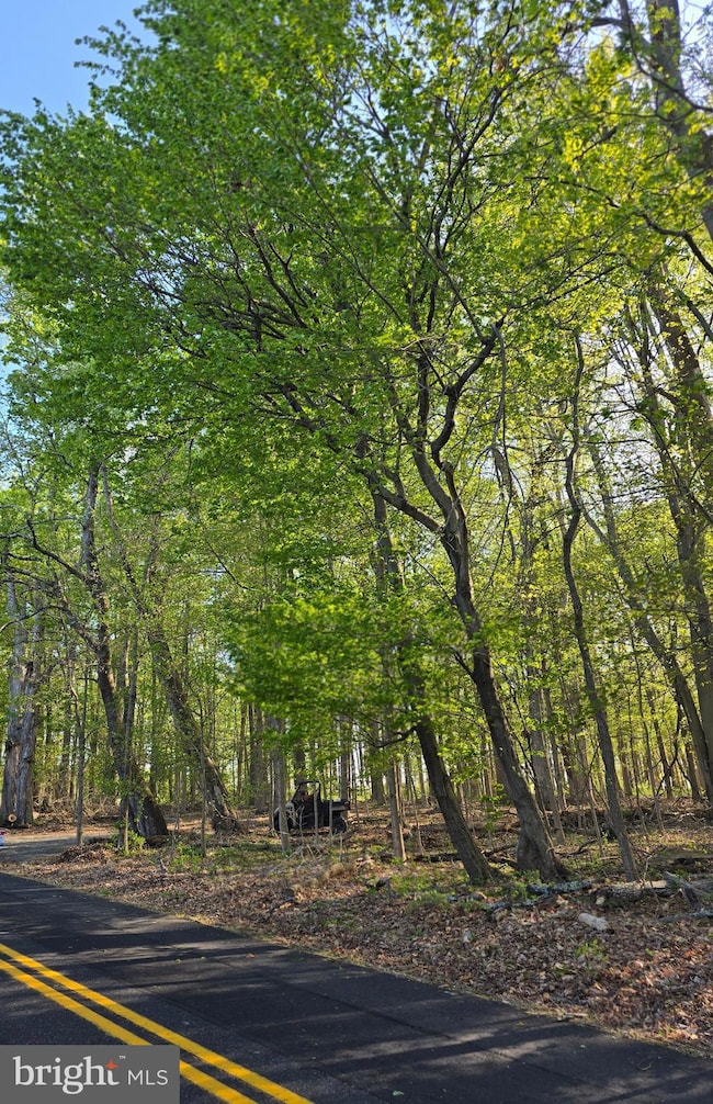 6465 Greenhill Rd, Lumberville, PA 18933 - photo 6