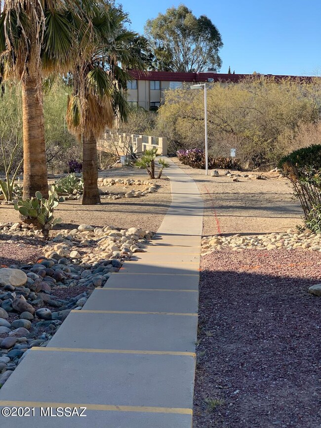 Walkway to Bridge