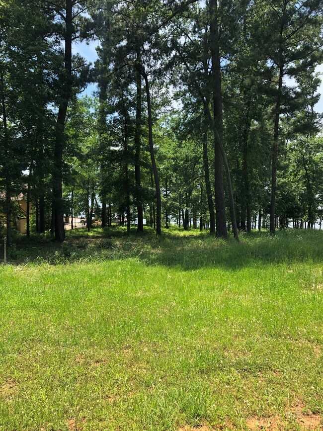 1281 County Road 755, Nacogdoches, TX 75964 - photo 7