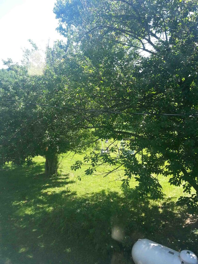 16166 18 B Rd, Culver, IN 46511 - photo 5