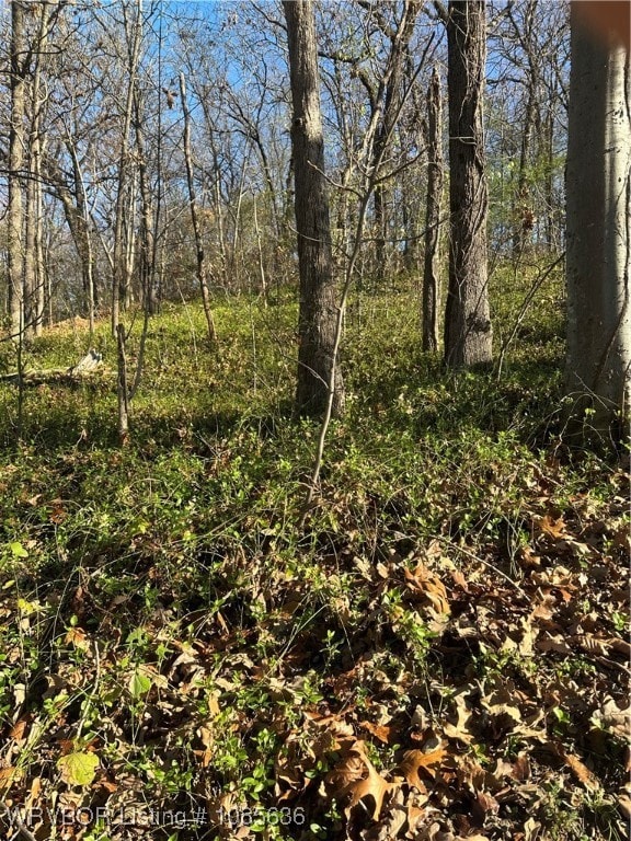 TBD Mockingbird Ln, Fort Smith, AR 72901 - photo 3