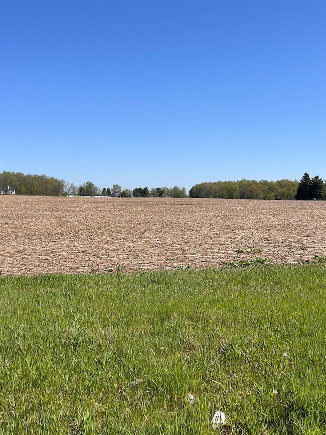 00 N 300 Rd E, Fremont, IN 46737 - photo 2