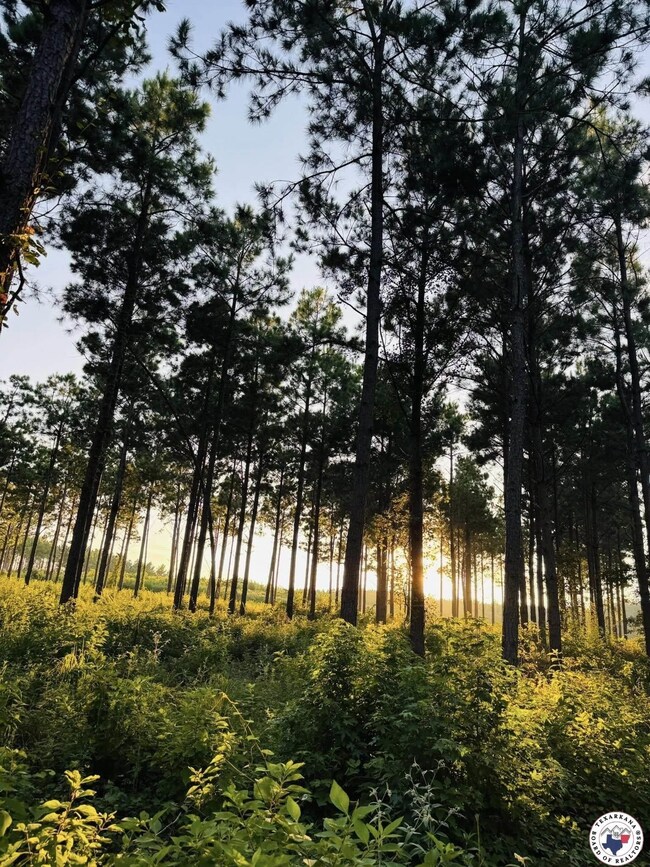 Tbd 3659, Queen City, TX 75572 - photo 7