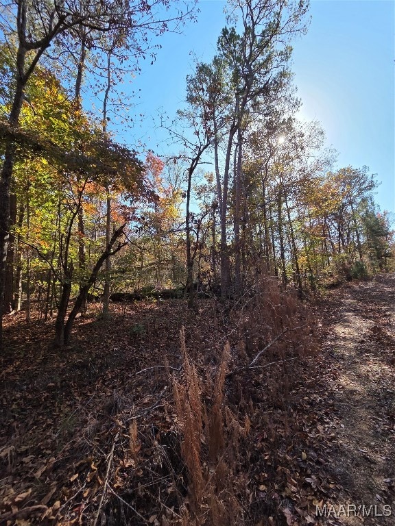 0 Parker Rd, Wetumpka, AL 360 - photo 3