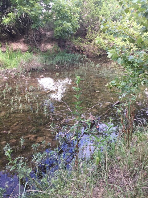 1547 Funf Kinder Rd unit 16, Fredericksburg, TX 78624 - photo 2