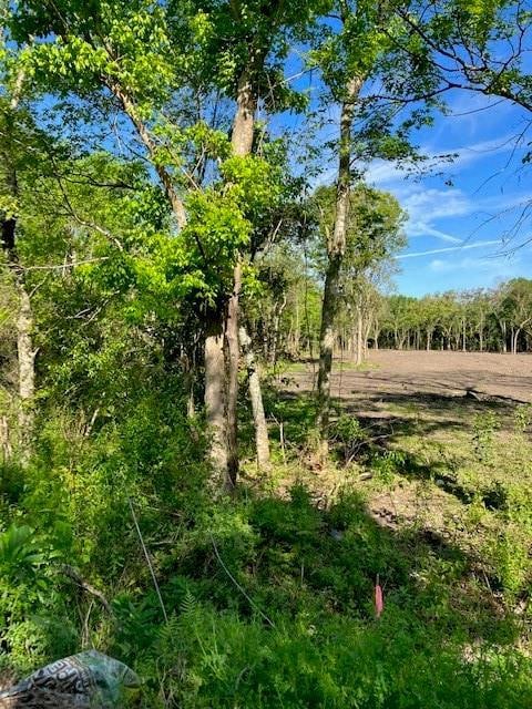 0 Stanton Rd, New Orleans, LA 70131 - photo 2