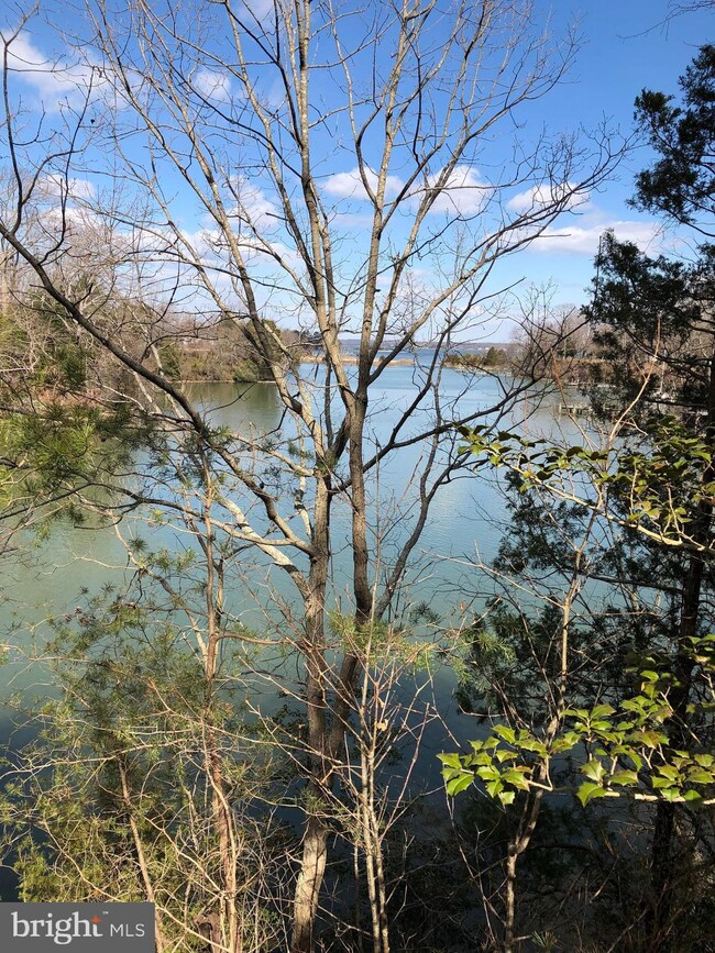 23705 Kingston Creek R Rd, California, MD 20619 - photo 7