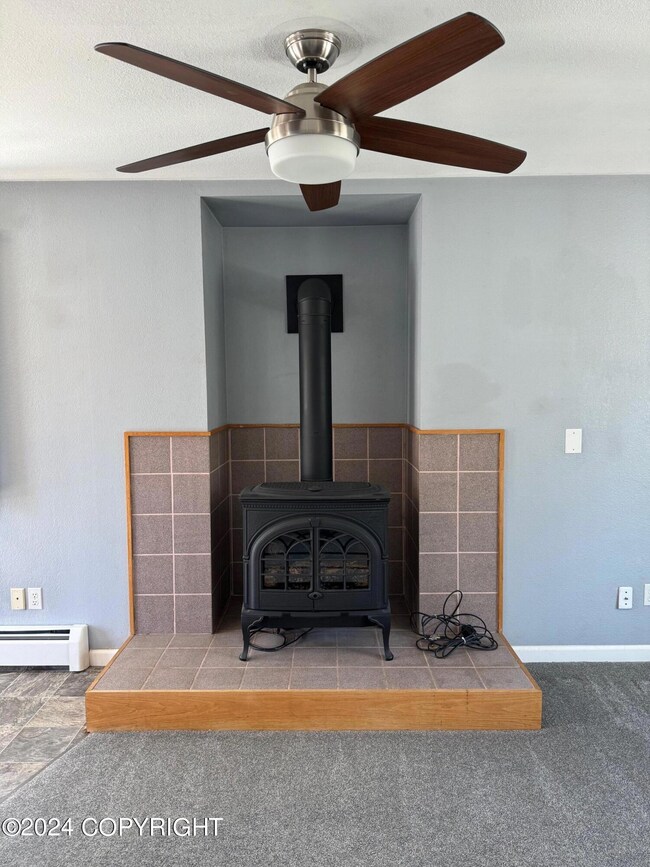 Gas Direct Vent Stove