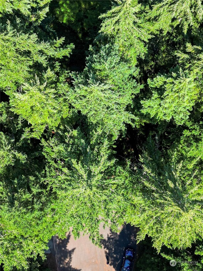 8809 Johnson Rd, Anderson Island, WA 98303 - photo 2