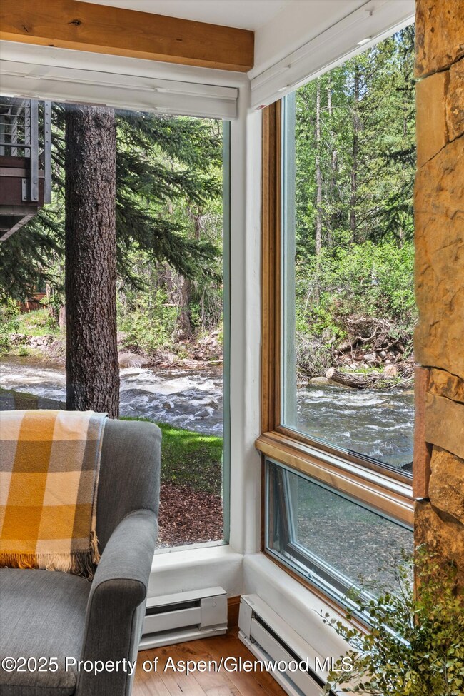 1034 E Cooper Ave unit 16A, Aspen, CO 81611 - photo 4