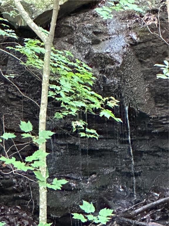 1225 Oglethorpe Rd, Jasper, GA 30143 - photo 3