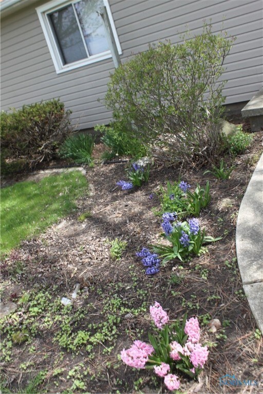 Watch the perennials come up in the spring!