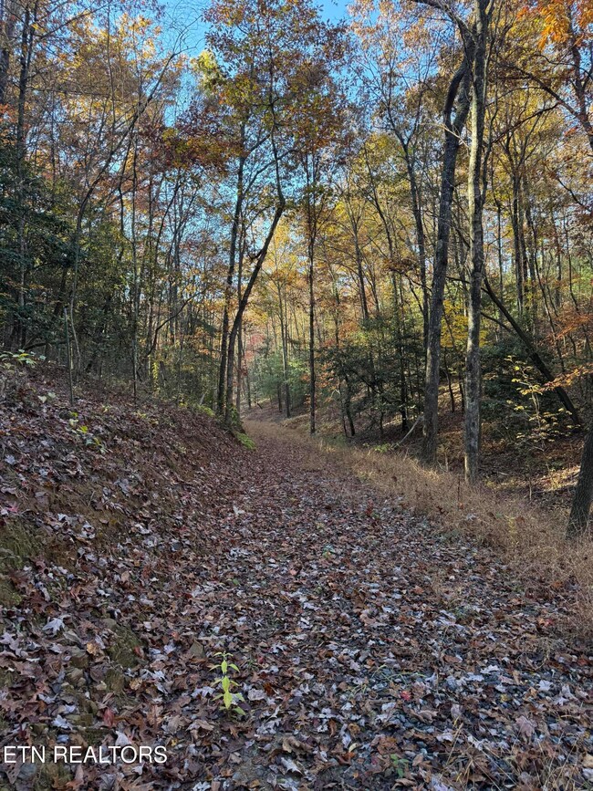 133 Megan Trace Ln, Turtletown, TN 37391 - photo 4