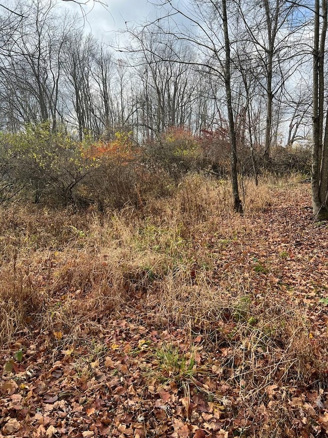 0 Big Bend Rd, Emlenton, PA 16373 - photo 7