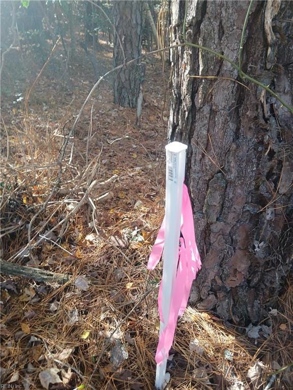 5.43A Old Forty Rd, Sussex, VA 23890 - photo 5