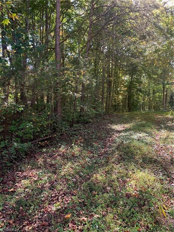 0 Jennifer View Dr unit 999299, Grant, NC 27205 - photo 5