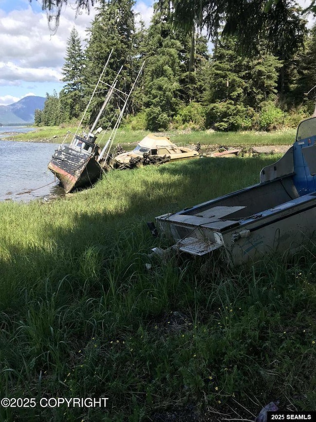 Wrangell Narrow Legal Address Only unit Lot 12, Petersburg, AK 99833 - photo 4