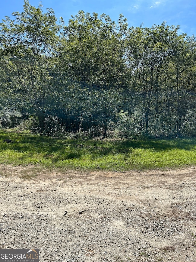 0 LOT A Jess Guest Rd, Bowman, GA 30634 - photo 7